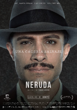 Afiche Pelicula