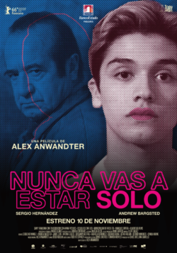 Afiche Pelicula