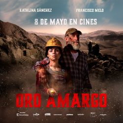 Afiche Pelicula